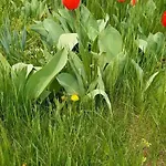 Ket Puli Vendeghaz Apartment Bekescsaba