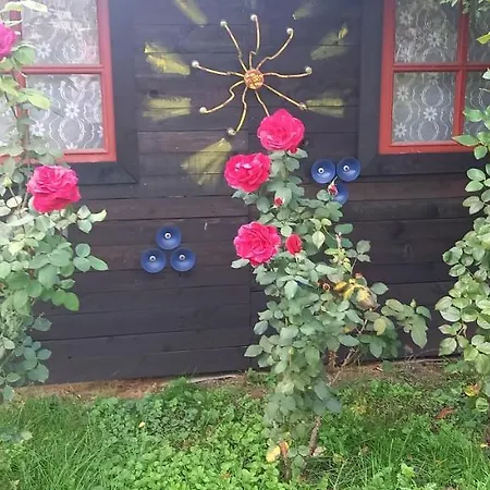 Ket Puli Vendeghaz *