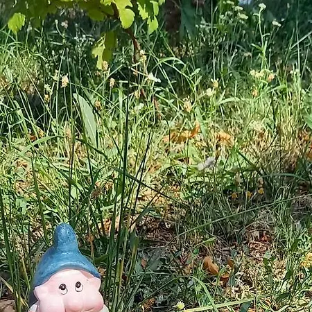 Ket Puli Vendeghaz *