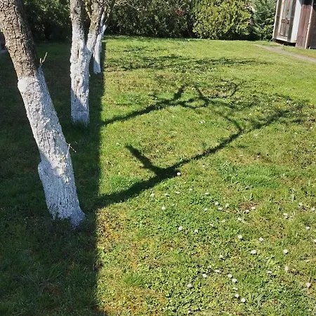 Ket Puli Vendeghaz